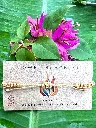 Aries,Gemini Leo, Liba, Sagi Tauruas (backside).webp